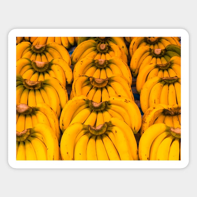 Natural banana bunches in symmetric Magnet by kall3bu